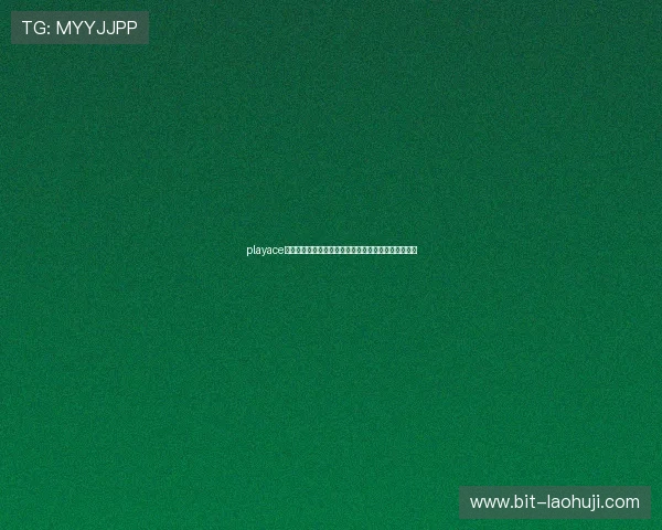 playace电子游戏平台安全性分析及用户体验提升方案全面解读